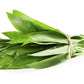 10 RAMSONS / WILD Bear GARLIC Allium Ursinum Vegetable Herb White Flower Seeds