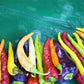 100 MIXED CAYENNE PEPPER Hot Yellow Purple Orange Red Green Capsicum Vegetable Seeds