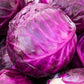 500 RED ACRE CABBAGE Brassica Oleracea Capitata Vegetable Seeds