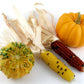 50 Indian MINI MIX CORN Miniature 4" Ears Ornamental Zea Mays Vegetable Seeds