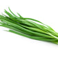 250 GARLIC CHIVE Allium Tuberosum Vegetable Seeds