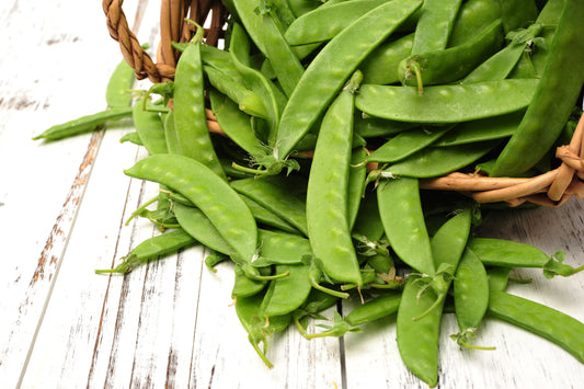 50 SNOW PEA Pisum Sativum Vegetable Seeds