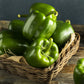 200 Sweet Green CALIFORNIA WONDER Bell PEPPER Capsicum Annuum Vegetable Seeds