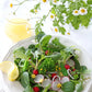 300 FEVERFEW Tanacetum Parthenium Herb Flower Seeds
