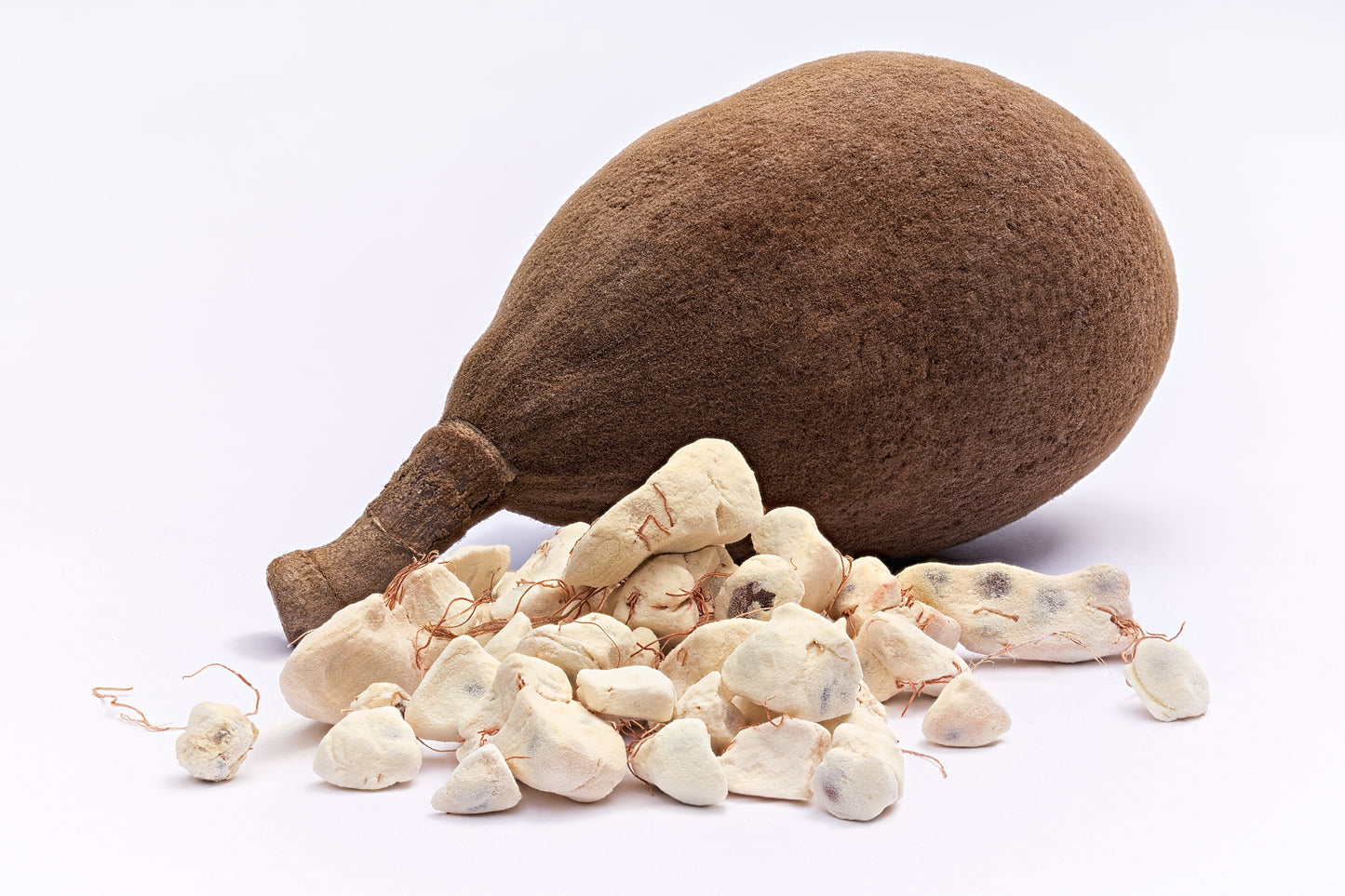 5 African BAOBAB TREE Adansonia Digitata Monkey Bread Judas Fruit Seeds