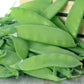 50 Oregon SUGAR POD II Pea Pisum Sativum Macrocarpon Vegetable Seeds