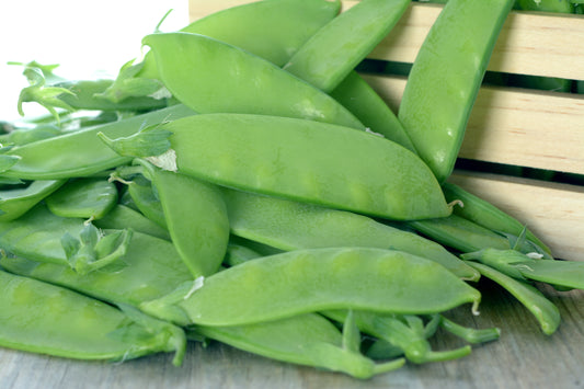 50 Oregon SUGAR POD II Pea Pisum Sativum Macrocarpon Vegetable Seeds