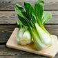 2000 CANTON PAK CHOI (Bok Choy / Chinese Cabbage) Brassica Rapa Chinensis Vegetable Seeds