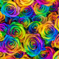 Make Your Own - 5 RAINBOW ROSE BUSH Seeds Shrub Rosa Flower