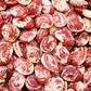 15 CHRISTMAS LIMA BEAN Calico Chestnut Phaseolus Lunatus Legume Vegetable Seeds