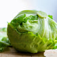 1000 GREAT LAKES LETTUCE Batavian Iceberg Lactuca Sativa Vegetable Seeds