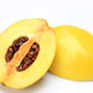 20 Chinese QUINCE FRUIT TREE Chaenomeles Sinensis Pseudocydonia Fruit Flower Seeds Thornless