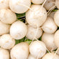 300 WHITE EGG TURNIP Brassica Rapa Vegetable Seeds