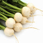300 WHITE EGG TURNIP Brassica Rapa Vegetable Seeds