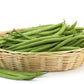 50 BURPEE STRINGLESS Green Pod BEAN French Phaseolus Vulgaris Vegetable Seeds
