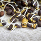 100 BLACK LENTIL Bush Lens Culinaris Vegetable Legume Sprouts Seeds