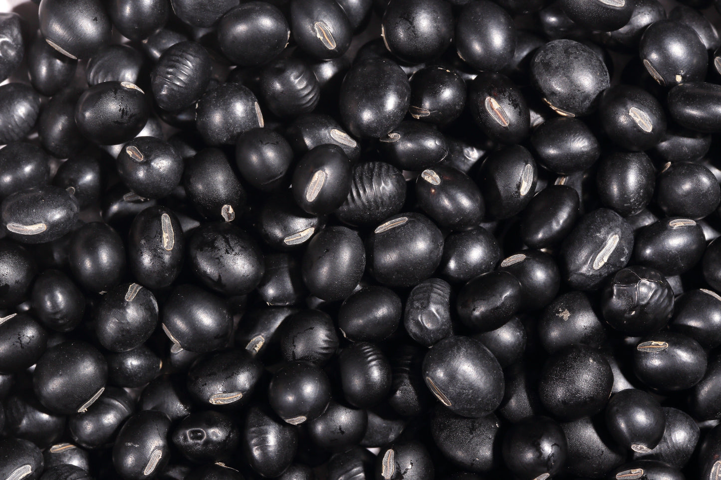 25 Sweet BLACK JET SOYBEAN Edamame Bean Glycine Max Vegetable Legume Seeds