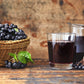 50 BLACK CHOKEBERRY Aronia Melanocarpa White Flower Fruit Shrub Seeds