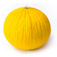 50 Golden Beauty CASABA MELON Cucumis Melo Fruit Seeds