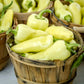 200 SANTA Fe GRANDE PEPPER (Guero Chili Pepper / Yellow Hot Chili Pepper) Capsicum Annuum Vegetable Seeds