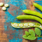 50 White DIXIE LIMA BEAN Butterpea Phaseolus Vulgaris Vegetable Seeds