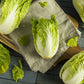 500 MICHIHILI CABBAGE Napa (Chinese Cabbage / Bok Choy / Pak Choi / Celery Mustard / Chinese Chard) Brassica Rapa Chinensis Vegetable Seeds