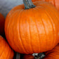 50 CONNECTICUT FIELD PUMPKIN BigTom Orange Yankee Cucurbita Pepo Vegetable Seeds