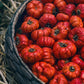 25 RUFFLED RED EGGPLANT Pumpkin On A Stick Edible & Ornamental Solanum Melongena Seeds