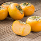 5 AMERICAN PERSIMMON TREE Diospyros Virginiana Fruit Seeds