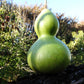 20 BIRDHOUSE GOURD (Hard Shelled Gourd / Calabash) Lagenaria Siceraria Vine Seeds