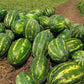 20 CAL SWEET Supreme WATERMELON Red Citrullus Lanatus 30 lb Melon Fruit Seeds