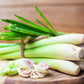 100 LEMONGRASS East Indian Lemon Grass Fragrant Ornamental Edible Cymbopogon Flexuosus Seeds
