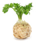 500 GIANT PRAGUE CELERIAC Apium Graveolens Celery Root Vegetable Seeds