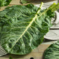 250 VATES COLLARDS Collard Greens Brassica Oleracea Acephala Vegetable Seeds