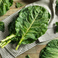 1000 GEORGIA COLLARDS (SOUTHERN or Walking Collards) Collard Greens Brassica Oleracea Acephala Vegetable Seeds