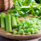 1000 TALL UTAH CELERY Apium Graveolens Dulce Vegetable Seeds
