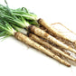 50 MAMMOTH Sandwich Island SALSIFY Tragopogon White Root Vegetable Oyster Flower Seeds