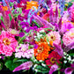 250 ZIN MASTER ZINNIA Mix Elegans Mixed Colors Flower Seeds