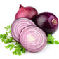 250 RED BURGUNDY ONION Allium Cepa Vegetable Seeds