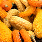 50 YELLOW CROOKNECK SQUASH Summer Cucurbita Pepo Crooked Neck Vegetable Seeds