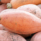25 Jumbo PINK BANANA SQUASH Cucurbita Maxima Heirloom Winter Vegetable Seeds