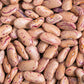 50 CRANBERRY BEAN French Horticulture Borlotti Roman Phaseolus Vegetable Seeds