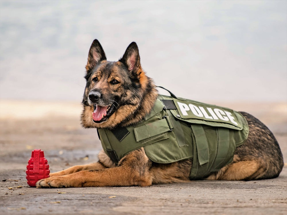 USA-K9 Dispensador con forma de granada, juguete resistente para masticar y dispensador de premios para perros – Verde militar