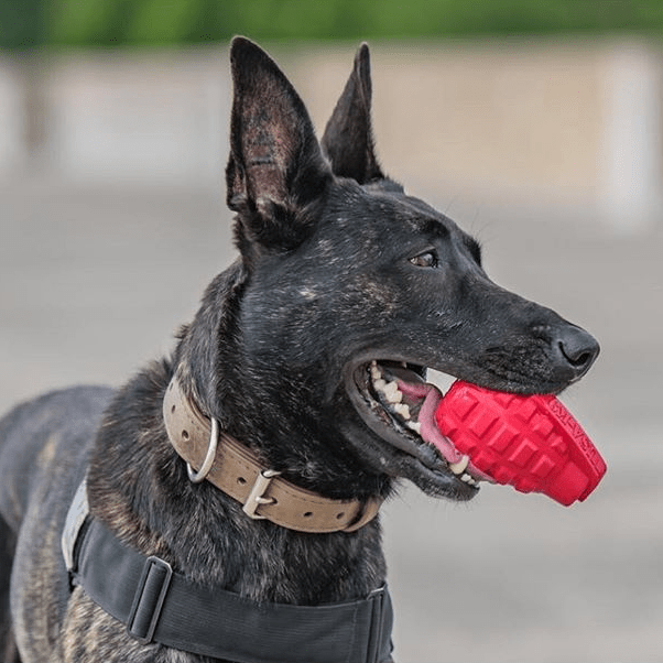 USA-K9 Dispensador con forma de granada, juguete resistente para masticar y dispensador de premios para perros – Verde militar