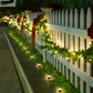 Solar Lawn Light – LED Garden Pathway Light, Waterproof & Durable