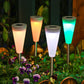 Solar Lights for Outdoors – Decorative Street and Garden Lighting Set