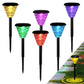 Solar Lights for Yard with Waterproof – Ideal for Pathway Illumination
