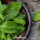 Garden Sorrel – 200 Seeds