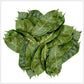 Soursop Leaf Dried Natural Non GMO