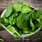 Bloomsdale Spinach – 150 Seeds